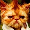 Avatar de l’utilisateur