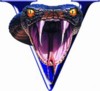 Avatar du membre