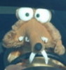 Avatar du membre
