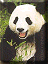 Avatar du membre