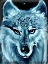 Avatar du membre