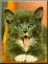 Avatar du membre