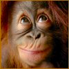 Avatar du membre