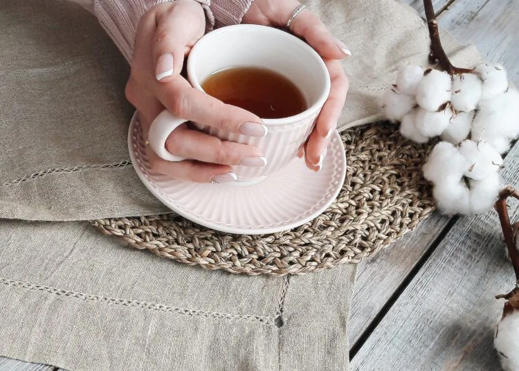 infusions boostant l'immunité